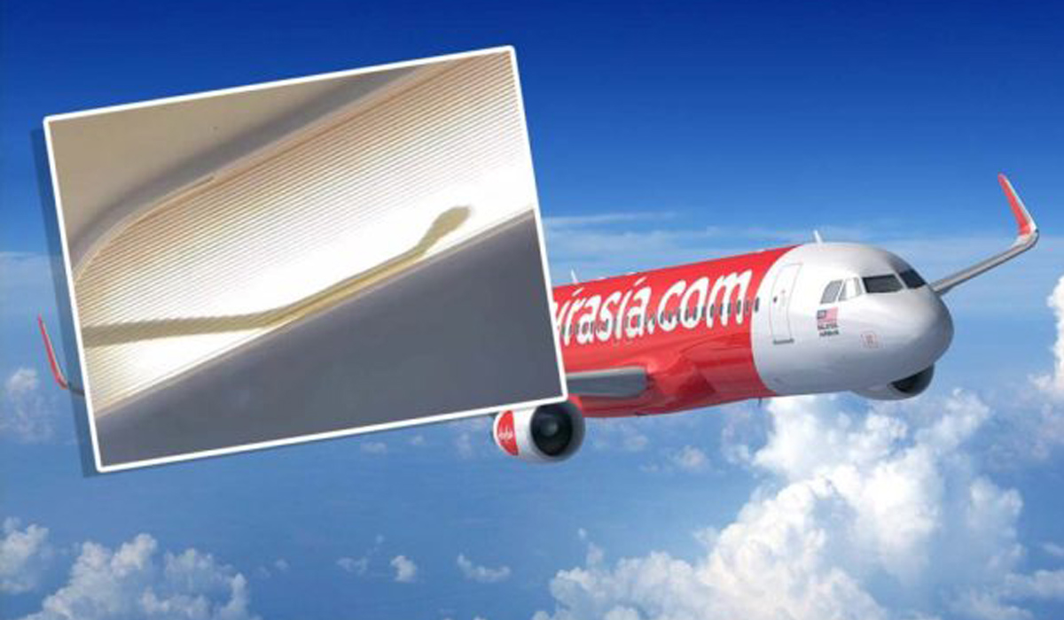 Snake found on board plane